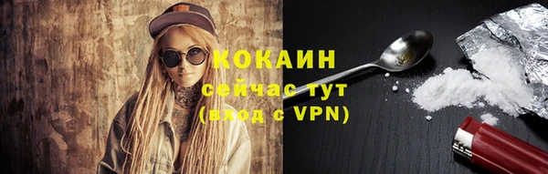PSILOCYBIN Бородино